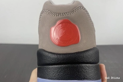 PSG-Air 5329 5 Fashionable Low DX6325- 574 Jordan 0921